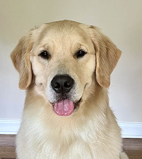 skye